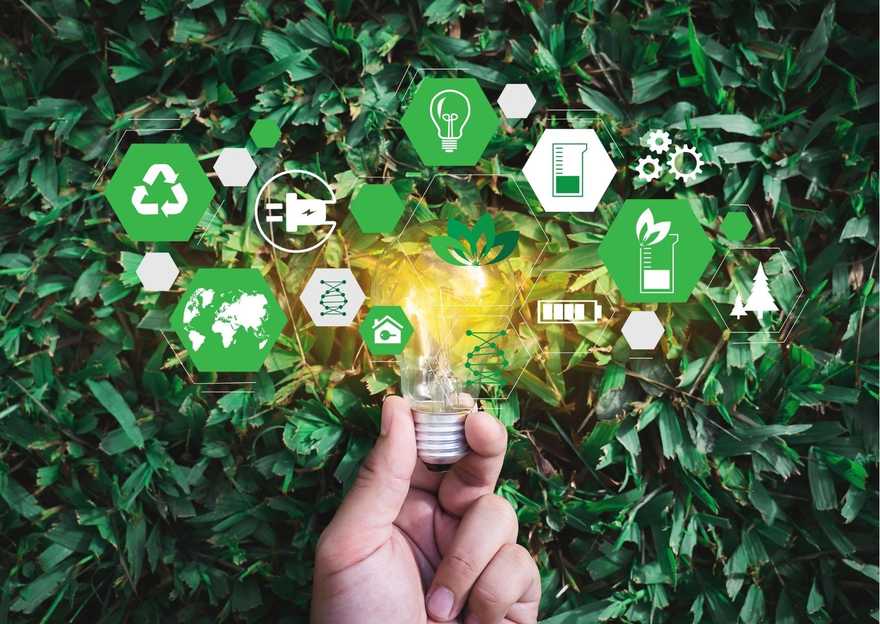 Sustainable IT Project Practices: Green IT and Its Importance