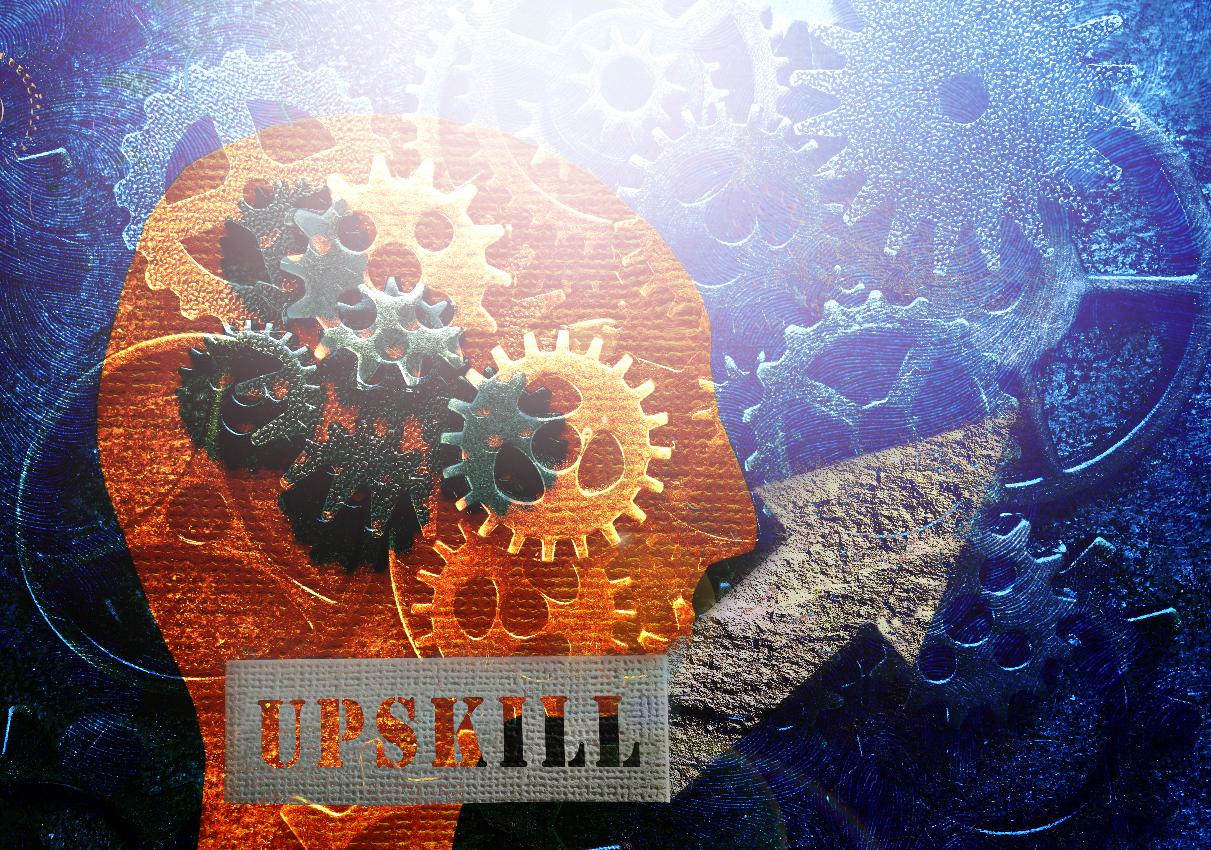 Essential IT Skills Every Project Manager Needs